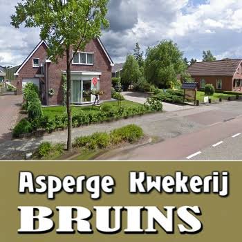 MTS Bruins